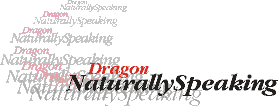NaturallySpeaking